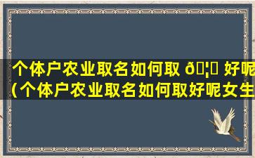 个体户农业取名如何取 🦈 好呢（个体户农业取名如何取好呢女生）